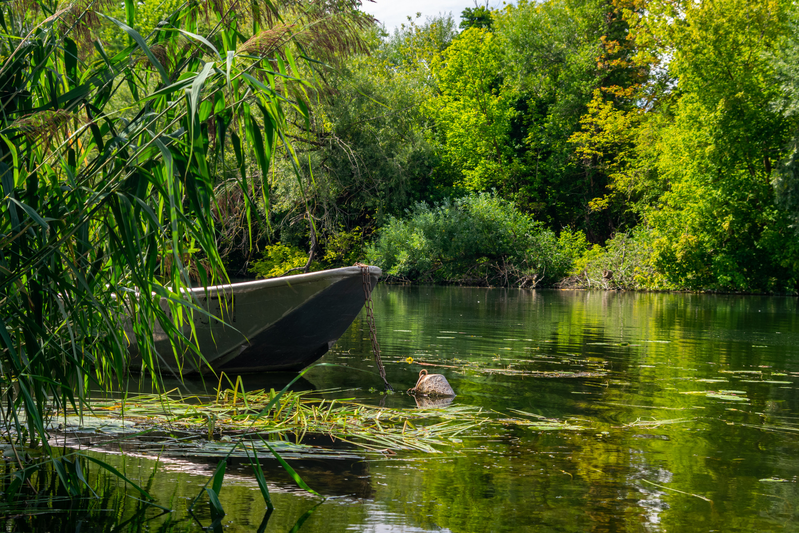 Boot am Ufer 