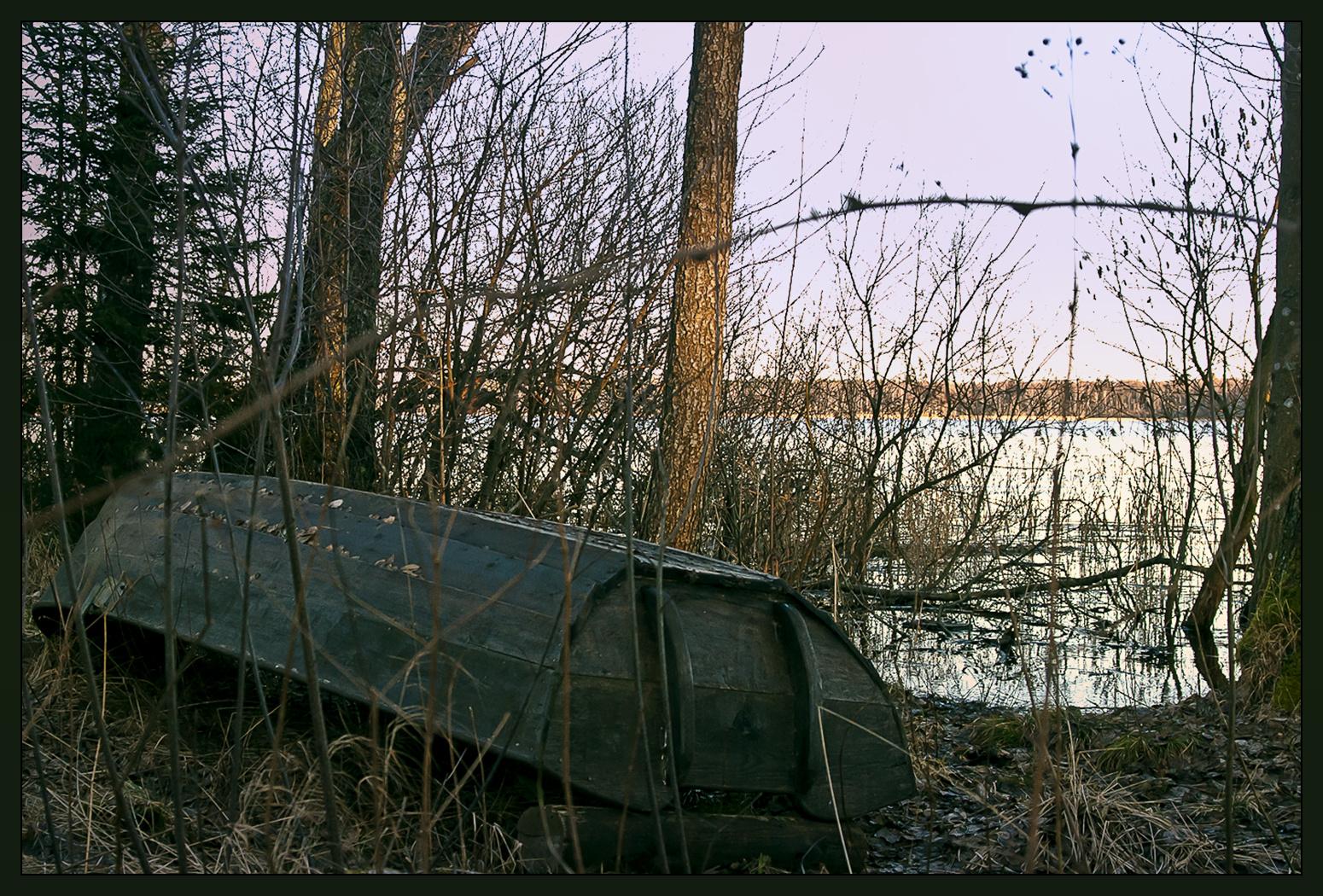 Boot am Ufer