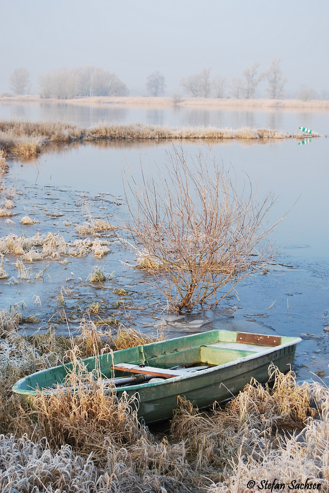 Boot an der Elbe