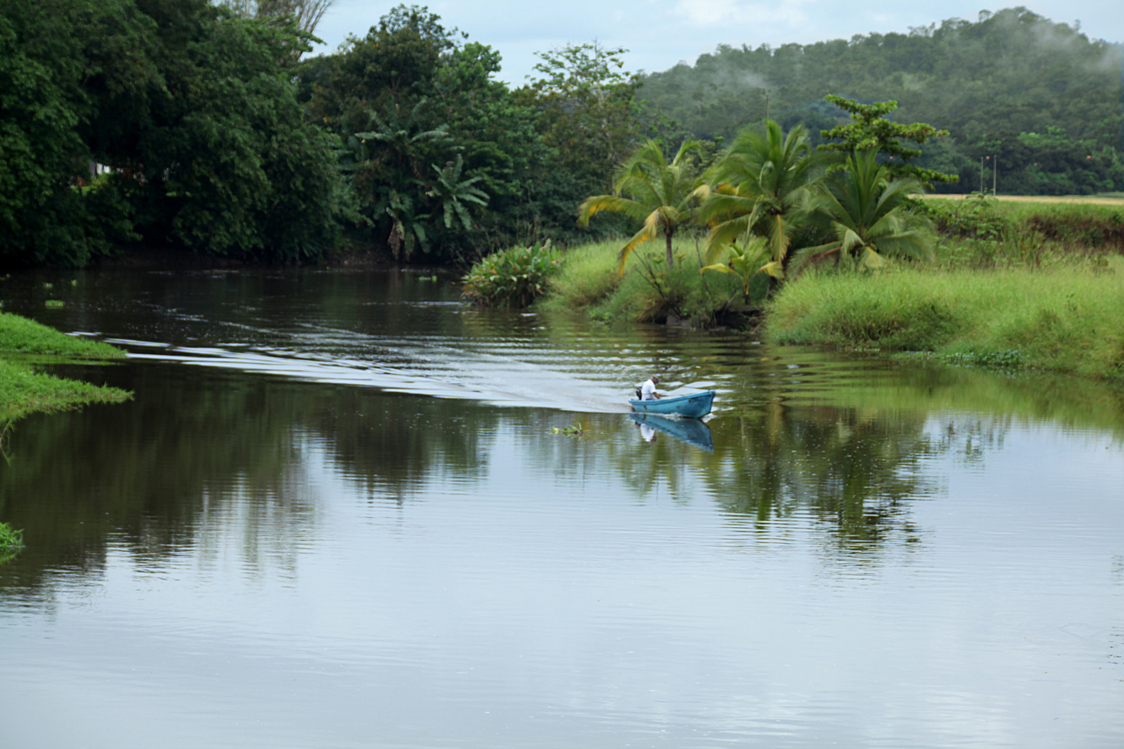 Boot auf dem Rio Sierpe