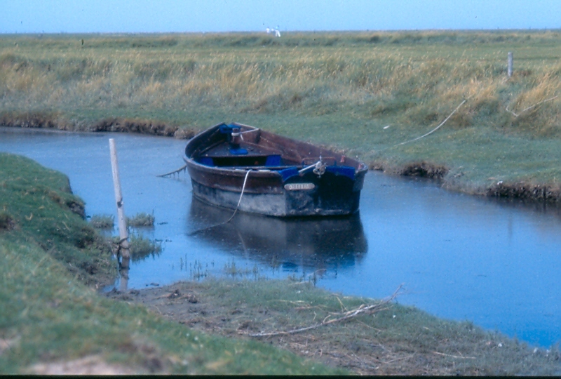 Boot auf einem Kanal auf der Hallig