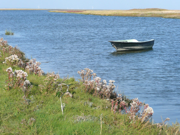 Boot auf Fanö