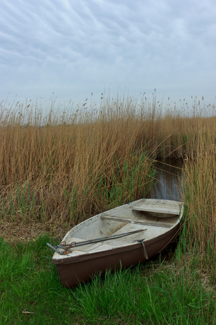 Boot auf Neusiedlersee :-)