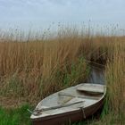 Boot auf Neusiedlersee :-)