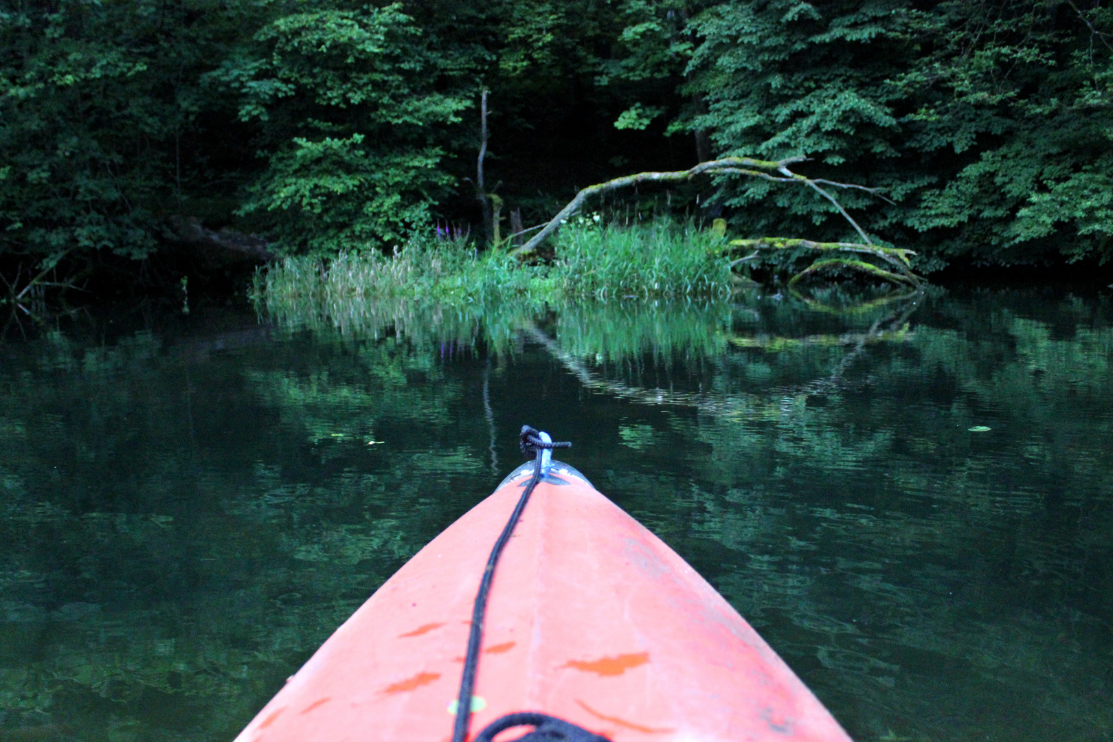 Boot das in schatten fährt