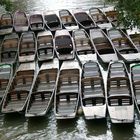 Boot-Herbst in Oxford