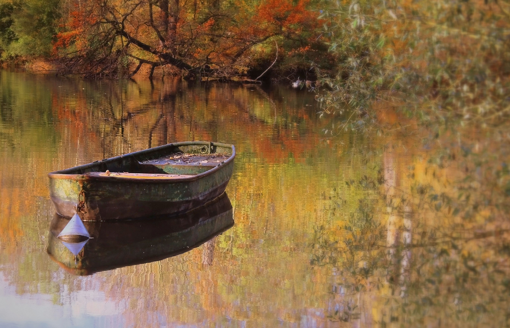 Boot, Herbst und See