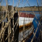 Boot hinter Schilf