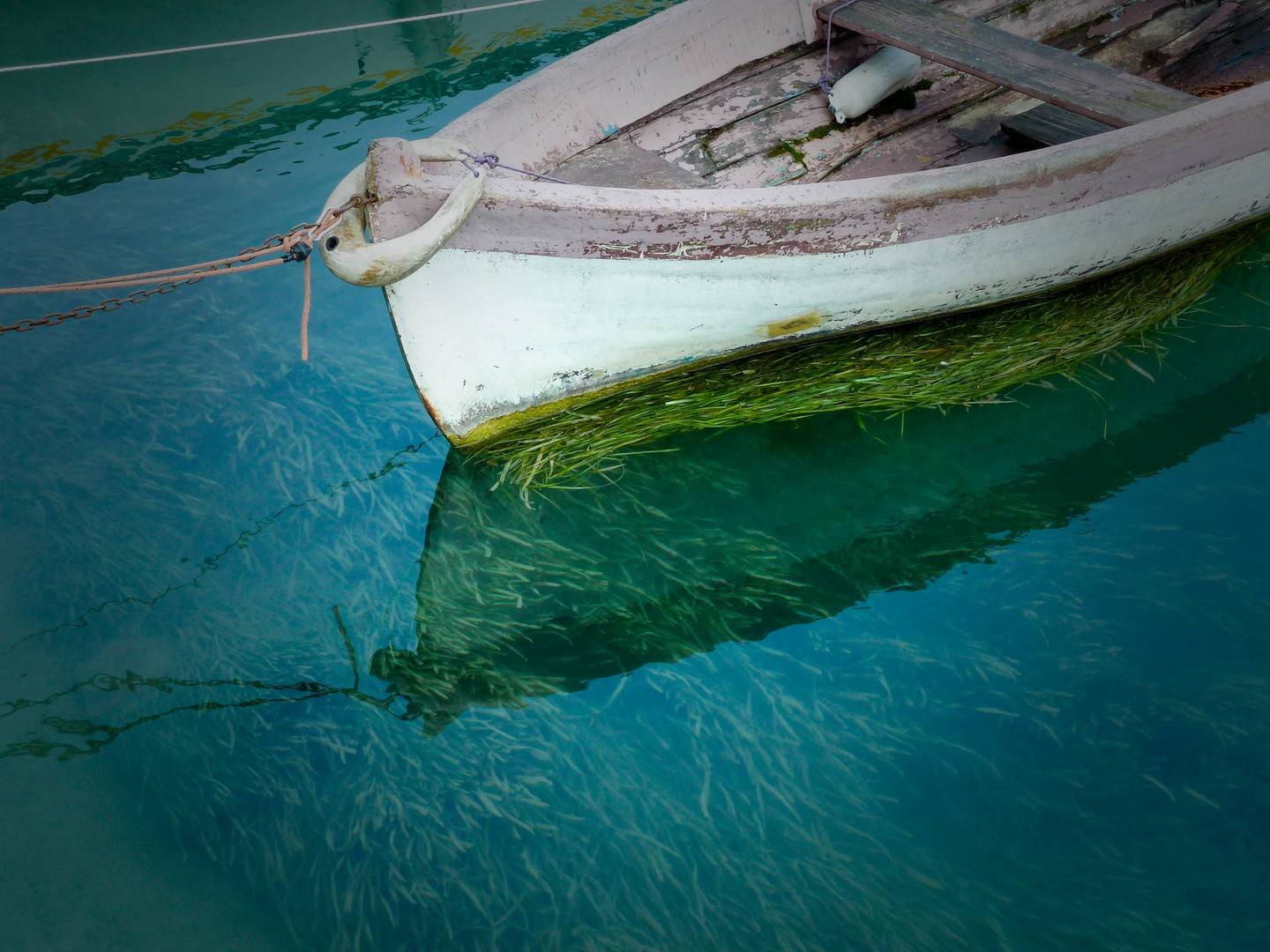 Boot im Gardasee