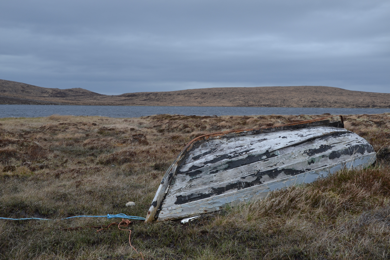 Boot im Moor - Schottland