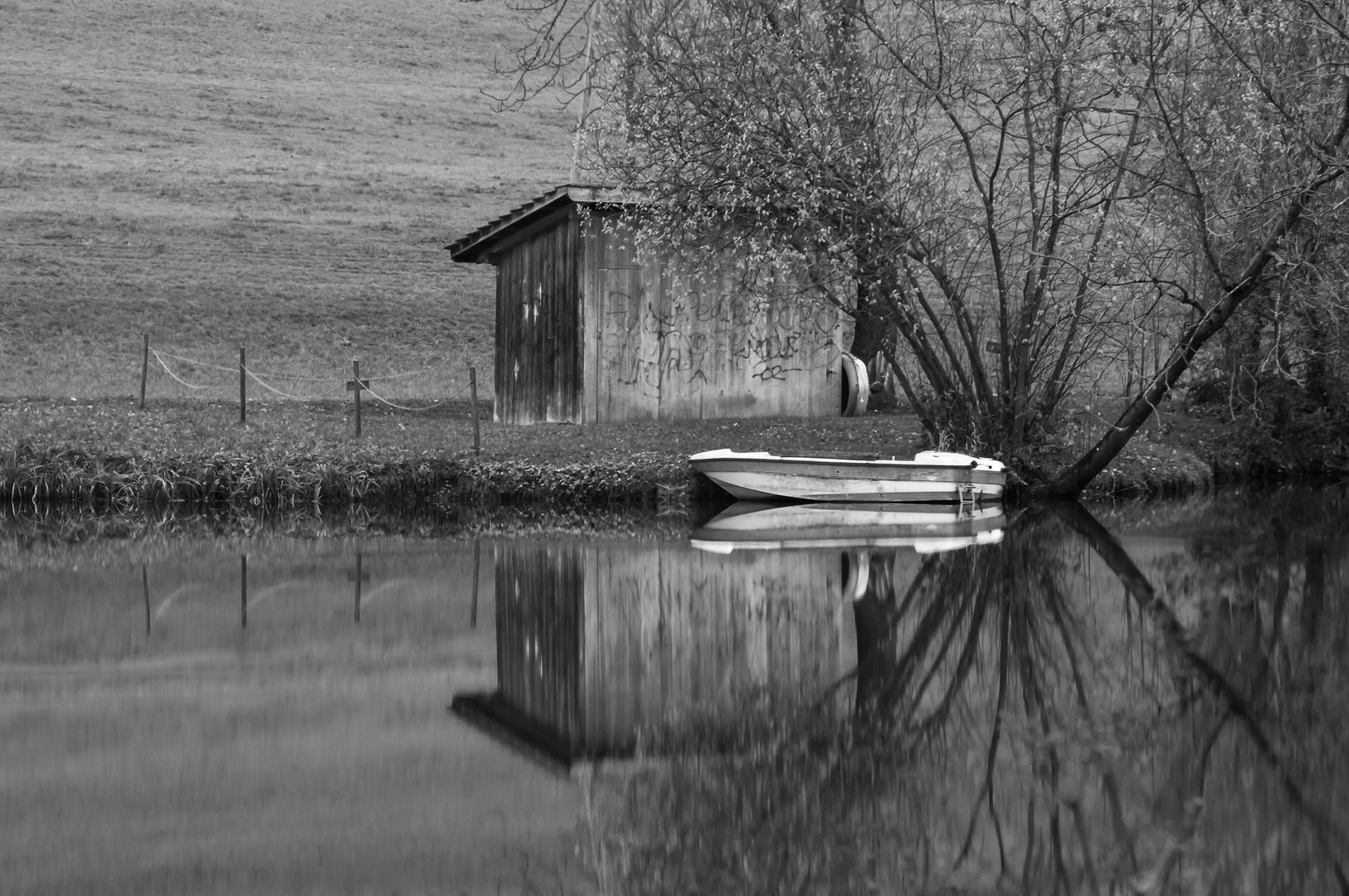 Boot im Moorteich