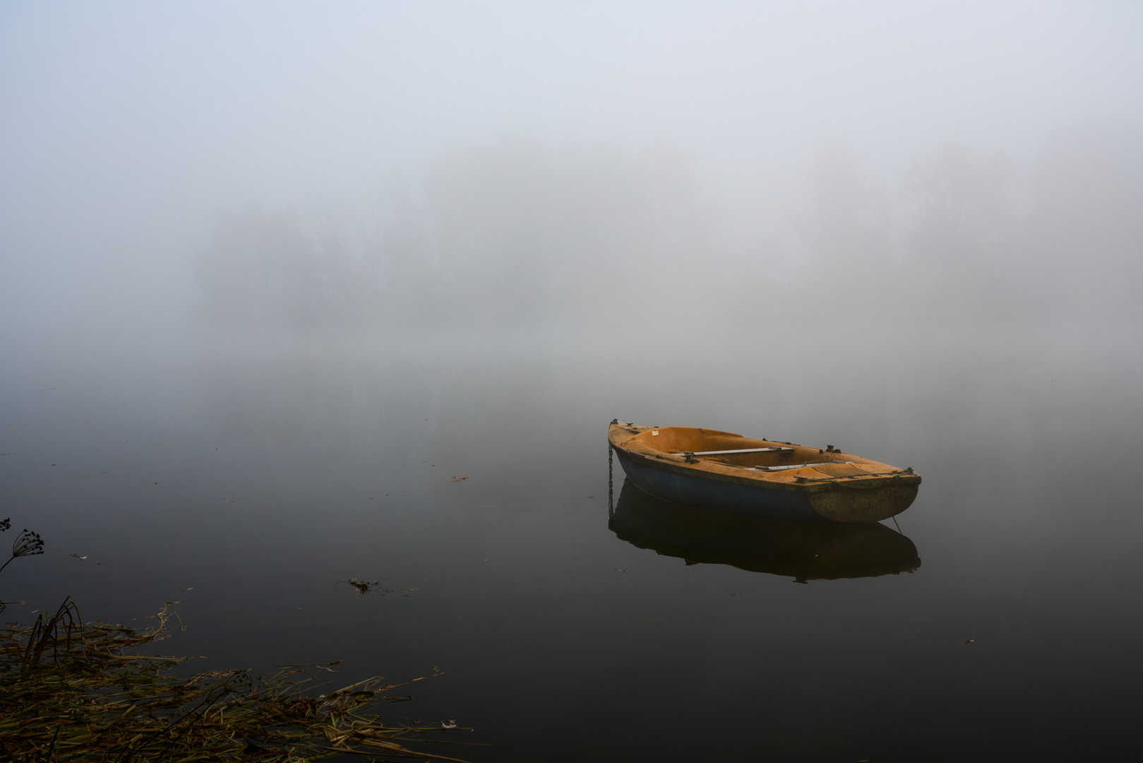 boot im morgennebel