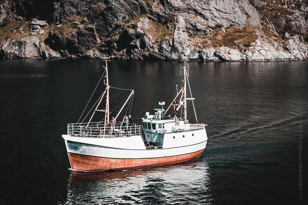 Boot im Nussfjord