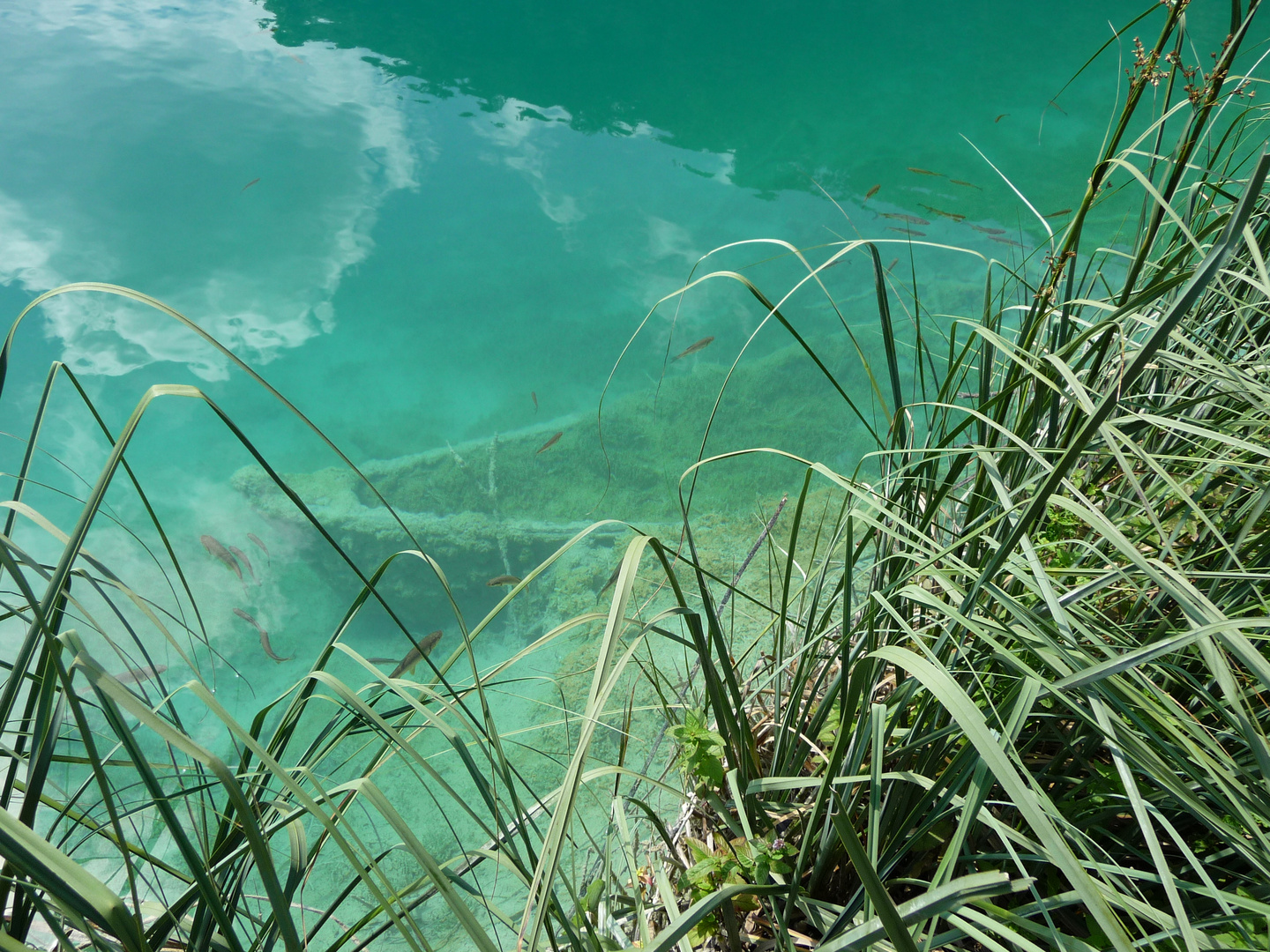 Boot im Wasser