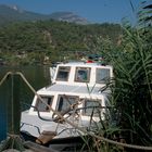 Boot in Dalyan