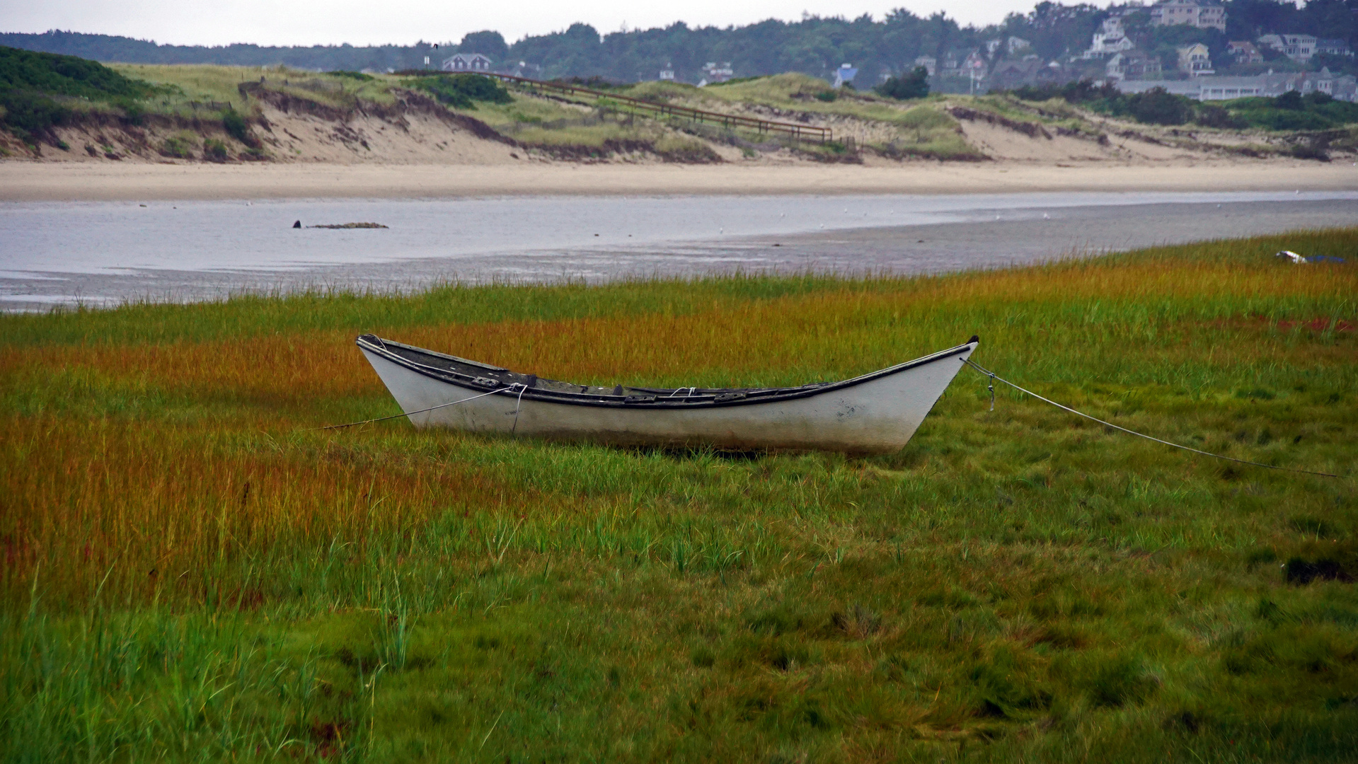 Boot in den Dünen