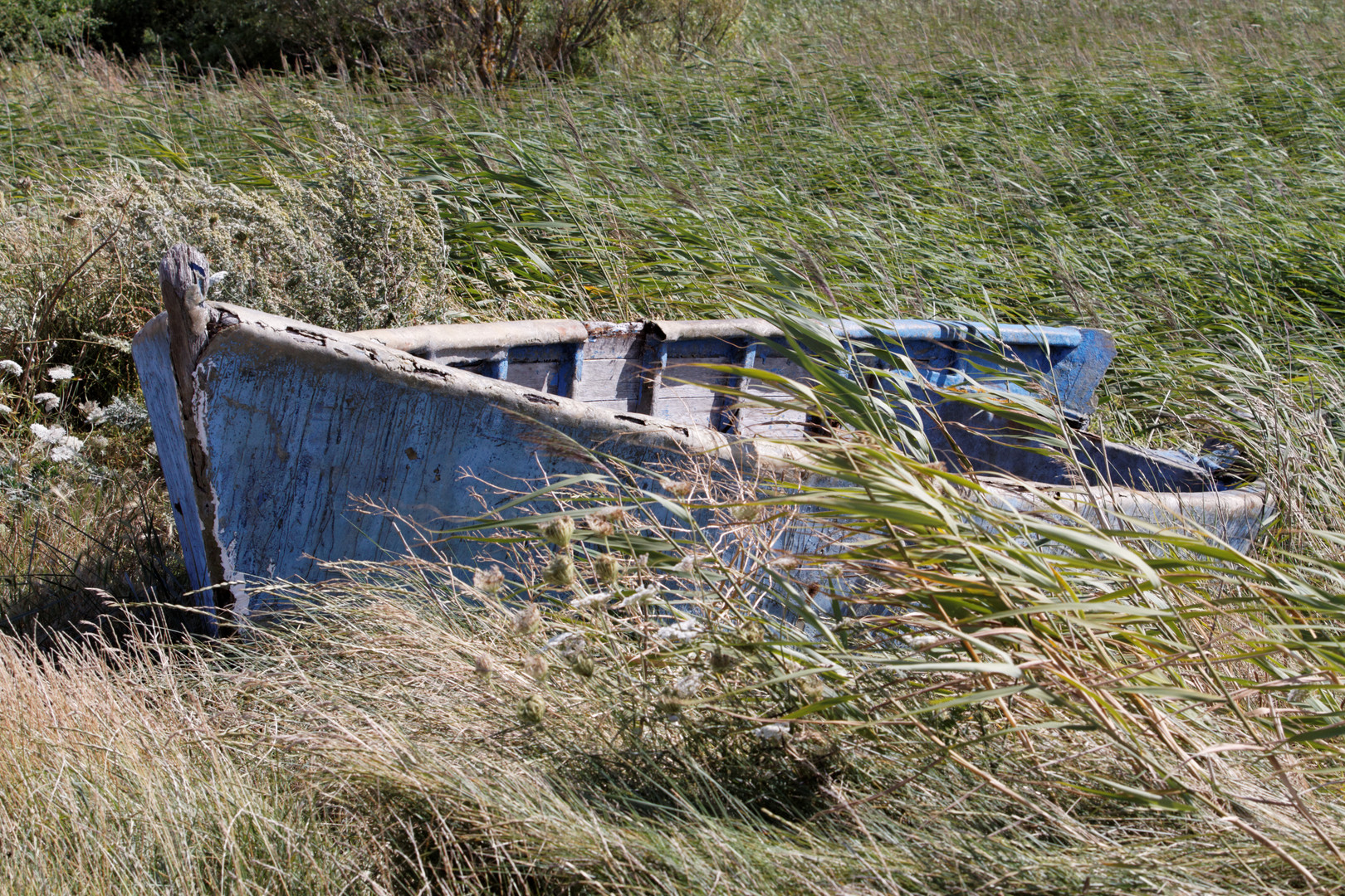 Boot schon stark in die Natur integriert