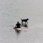 Boot und Hund