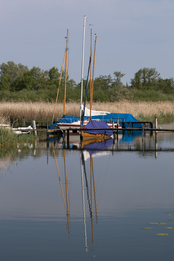 Boote