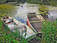 BOOTE ALTENBURGER SEEN