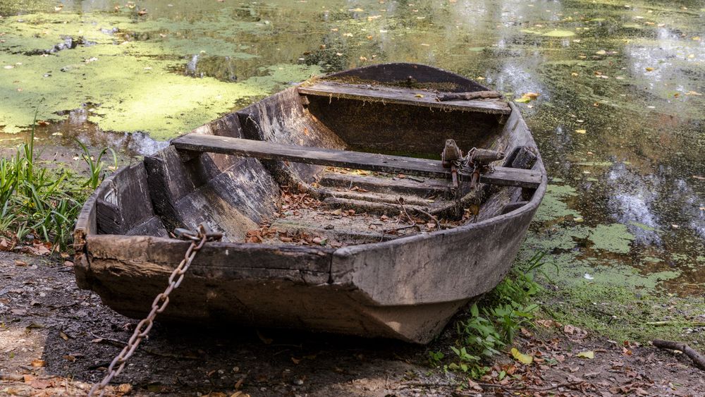 Boote am Altrhein / Daxlanden