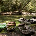 Boote am Altrhein / Daxlanden