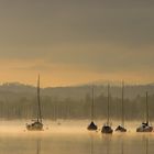 Boote am Morgen