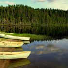 Boote am See