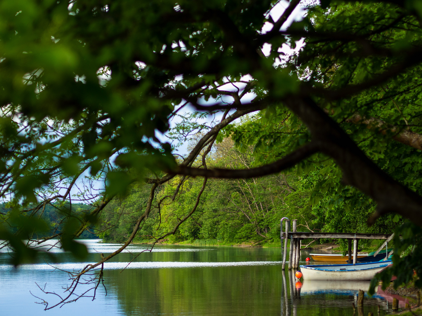 Boote am Seeufer - Strausberg, Brandenburg