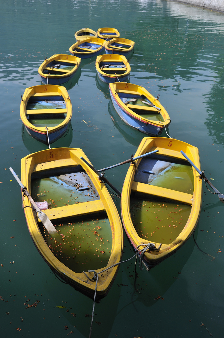 Boote am Sun Moon Lake