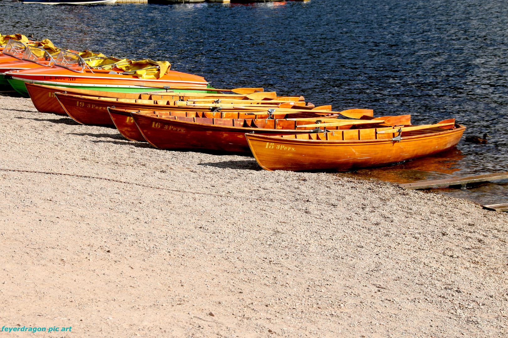 boote am titisee