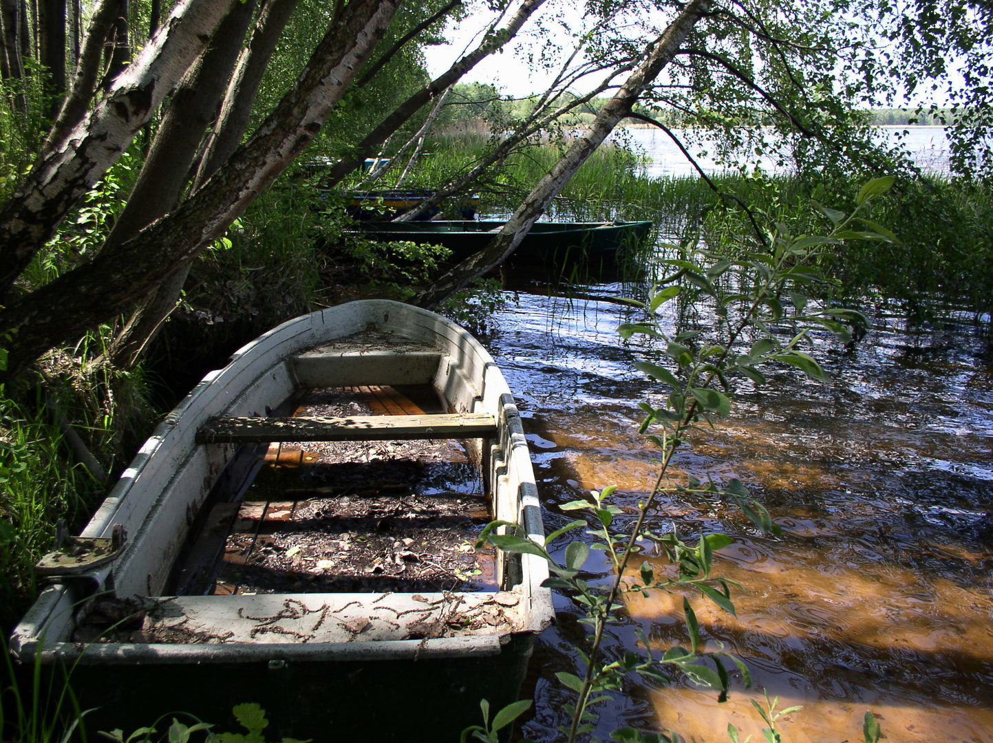 Boote am Ufer