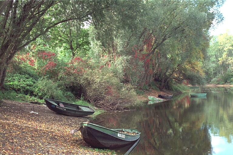 Boote am Ufer