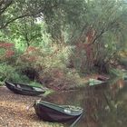 Boote am Ufer