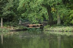 Boote auf dem See - Bremer Bürgerpark