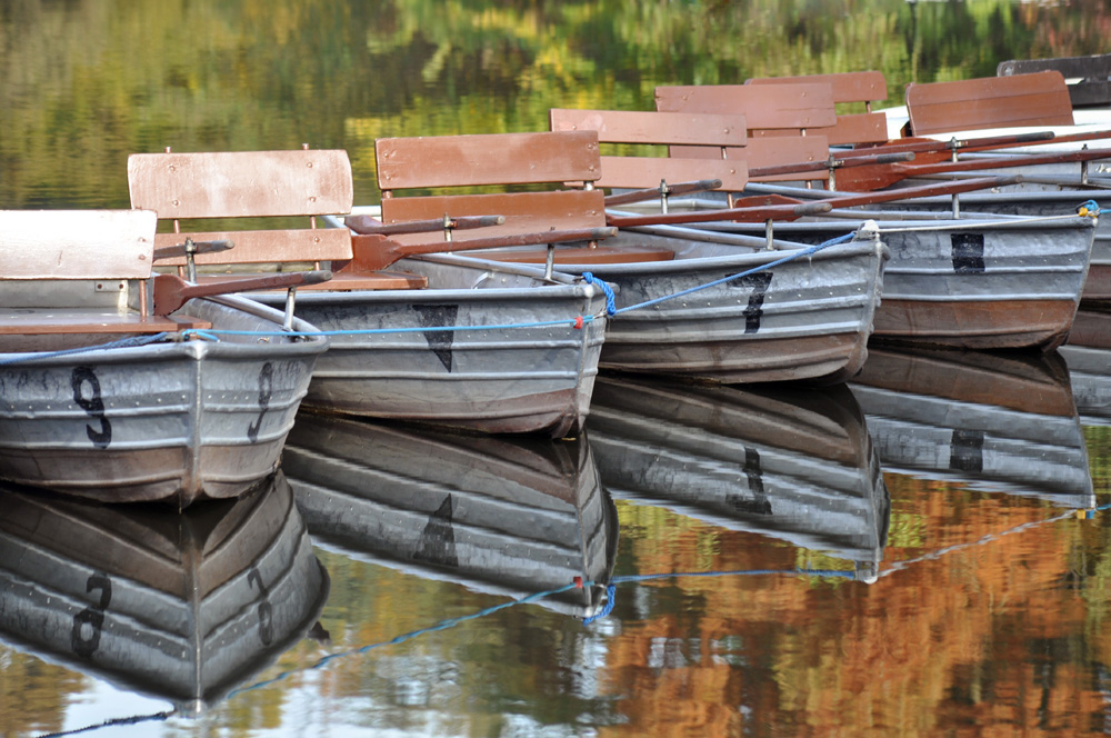 Boote auf dem Steinbrücker Teich Foto & Bild landschaft, bach, fluss
