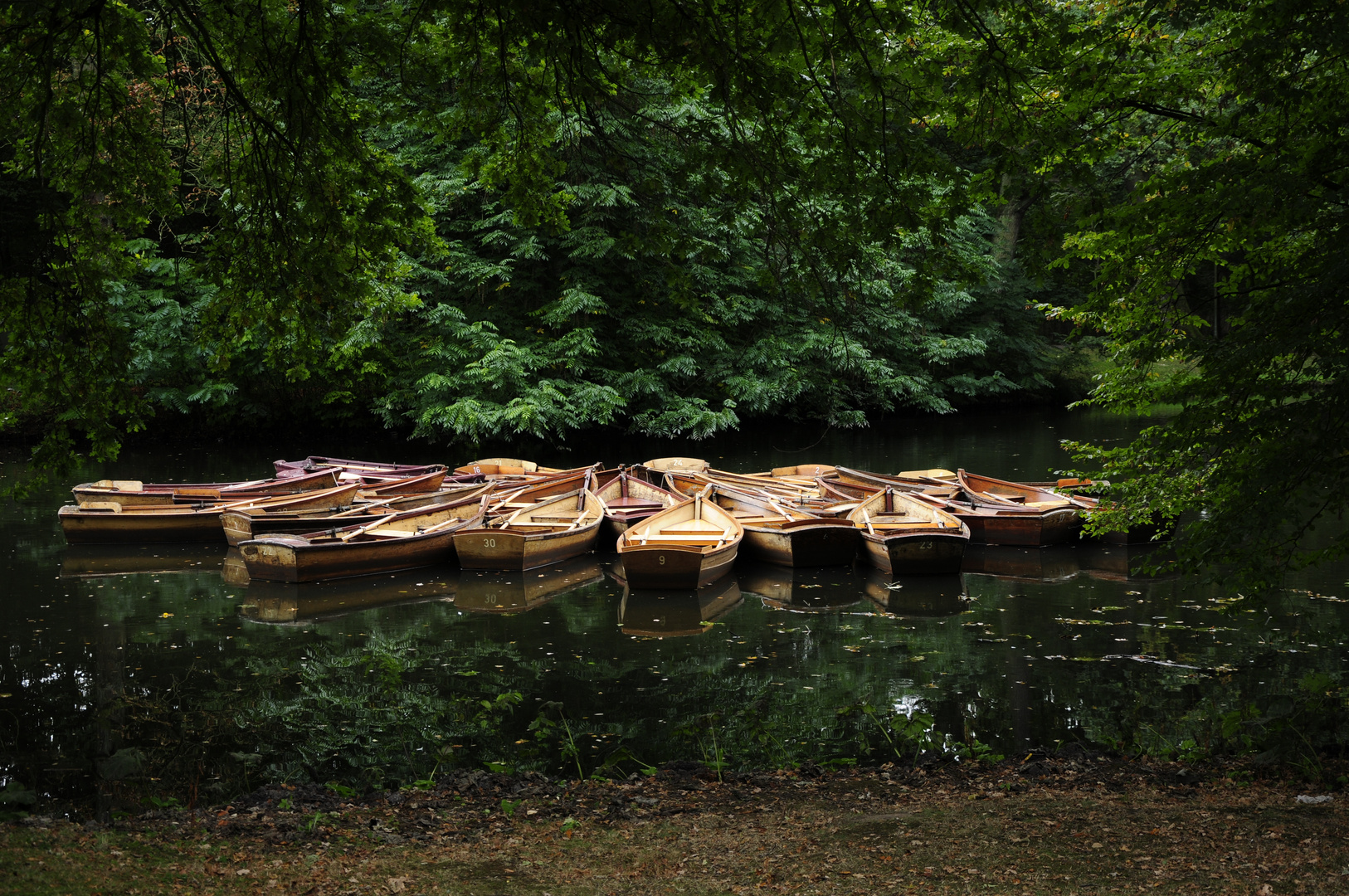 Boote auf einen Herbstlichen Teich im Bremer Bürgerpark