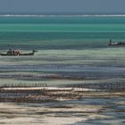 Boote bei Ebbe vor der Insel Sansibar