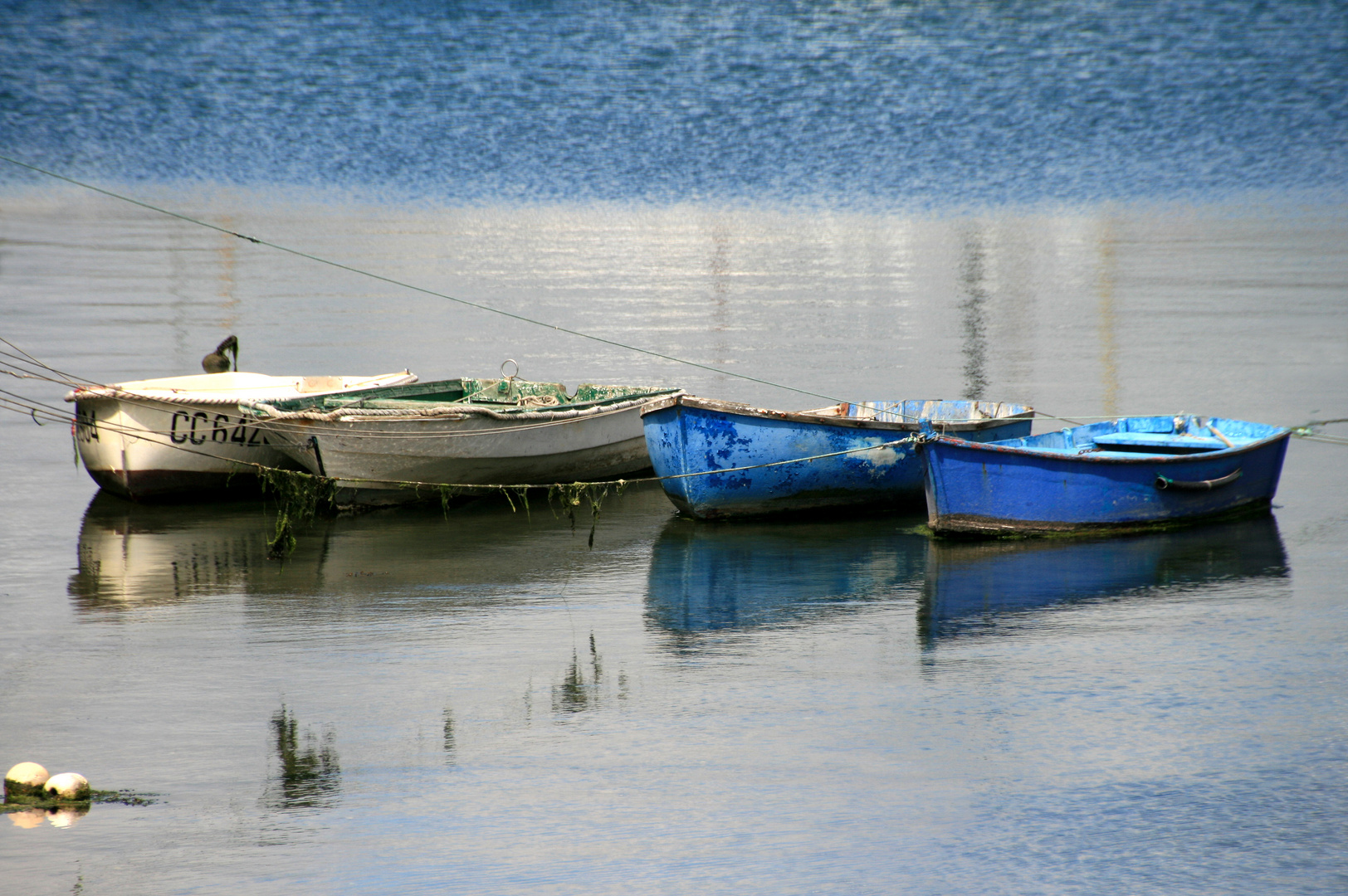 Boote I