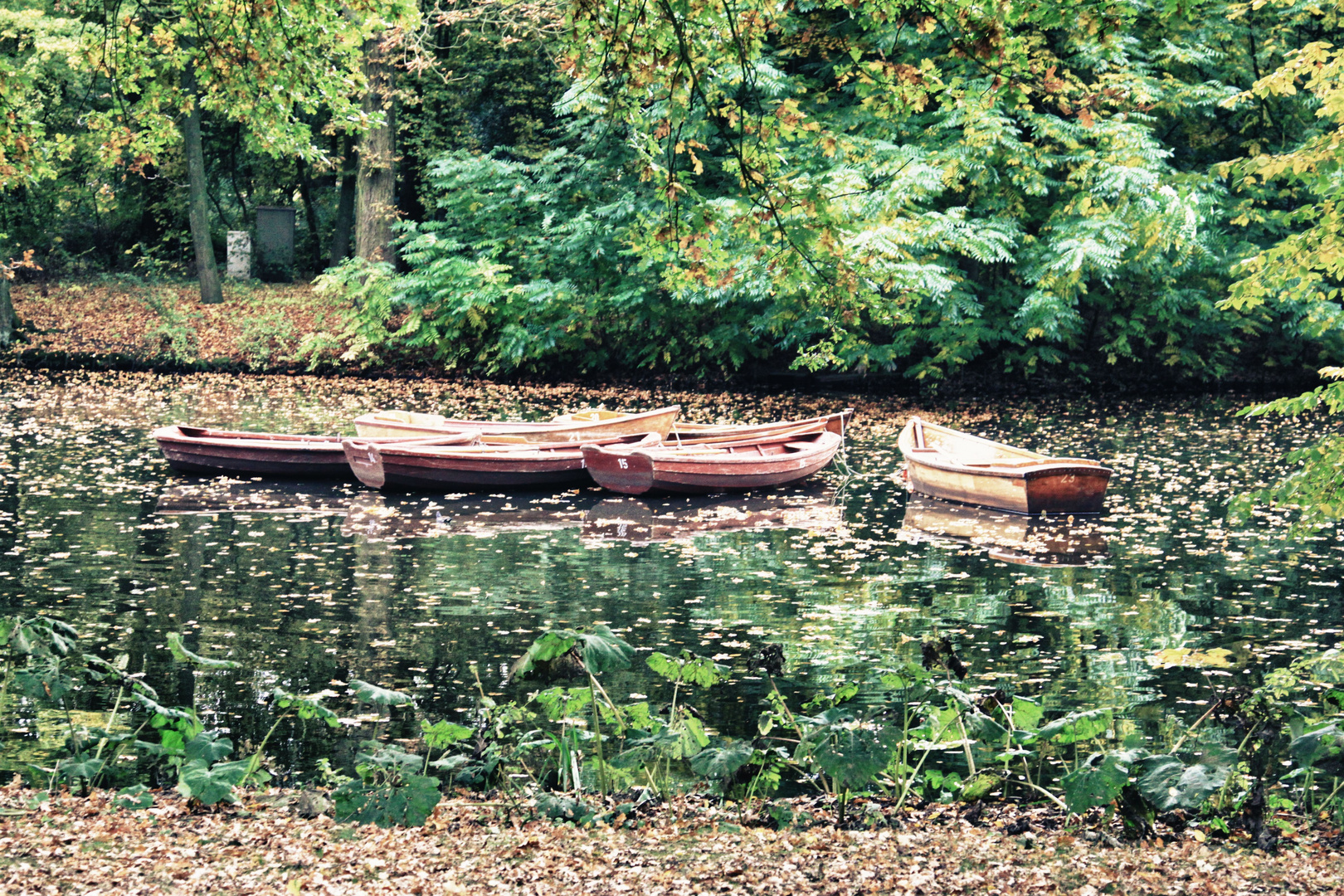 Boote im Bürgerpark ( Herbststimmung )