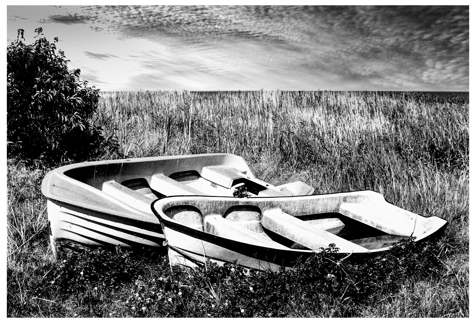 Boote im Gras