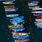 Boote im Hafen / Cinque terre