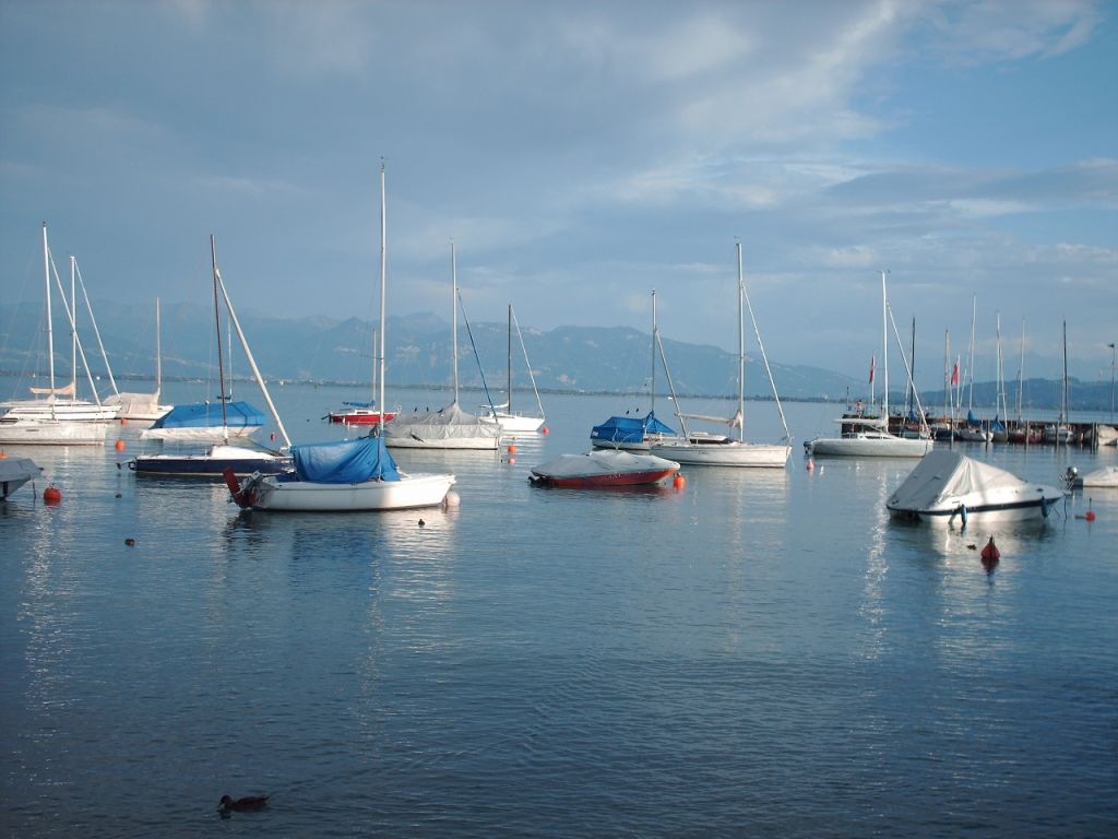 Boote im Hafen