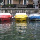 Boote im Hafen von Malcesine