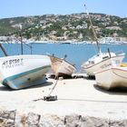 Boote im Hafen von Mallorca