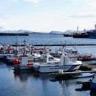Boote im Hafen von Reykjavik