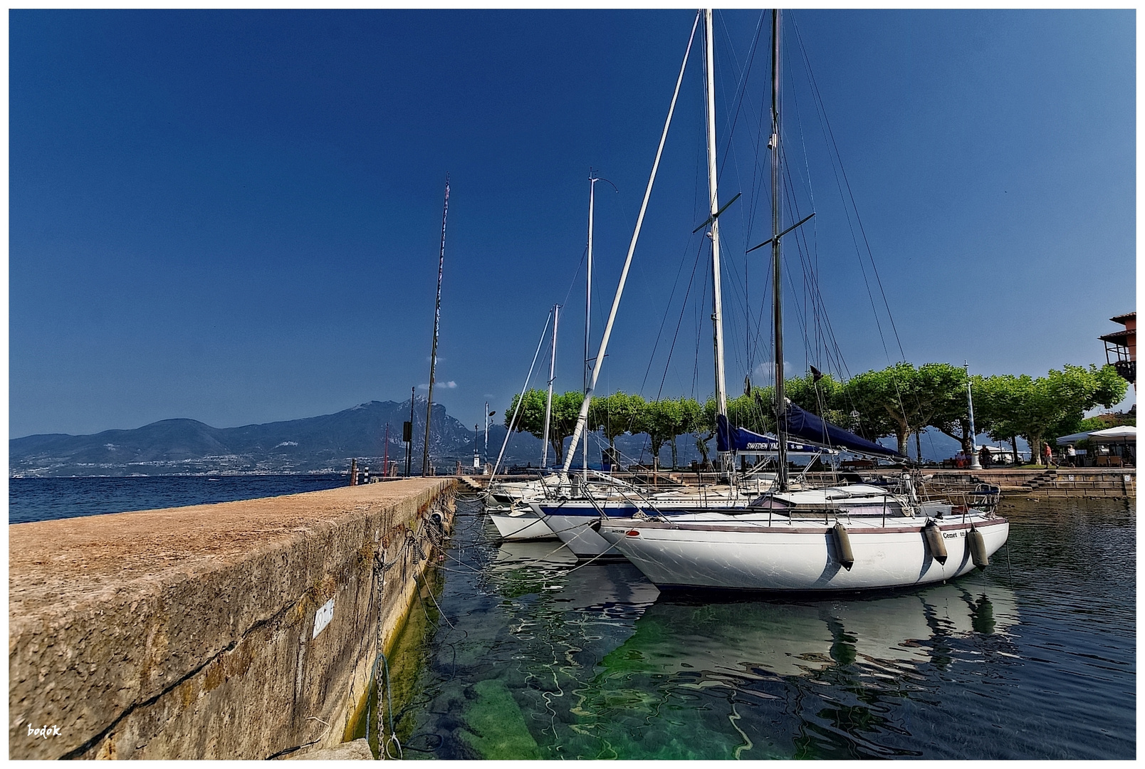 Boote im Hafen von Torri del Benaco