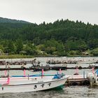 Boote im Hakone-Nationalpark