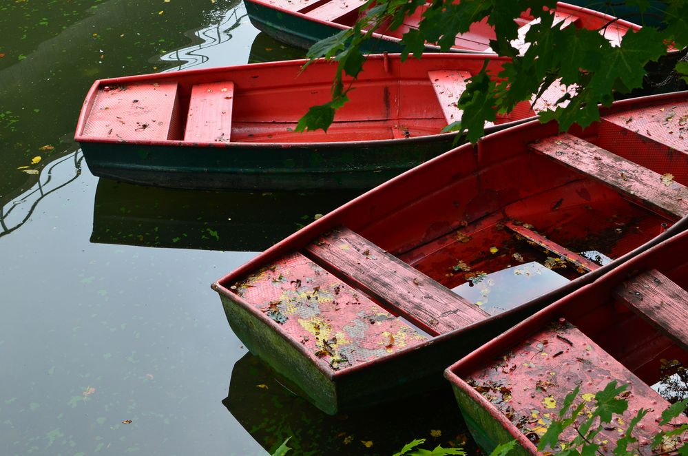 Boote im Herbst