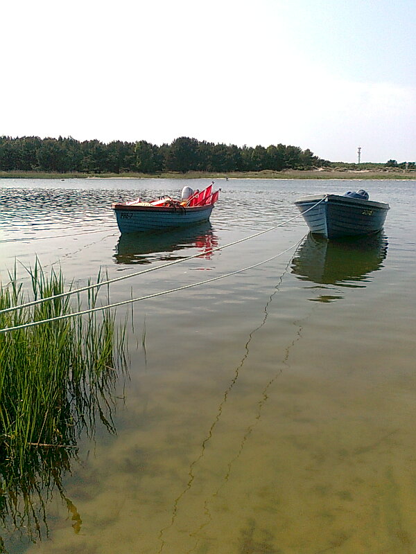 Boote im Nothafen Darßer Ort - zum Spiegeltag